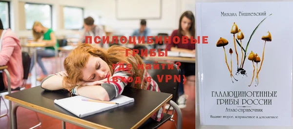 стафф Алексеевка
