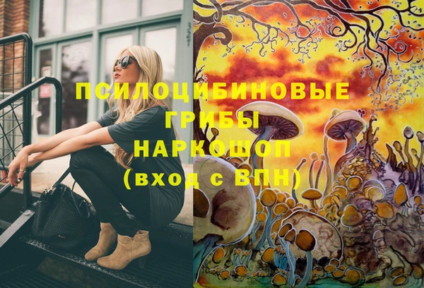 стафф Алексеевка