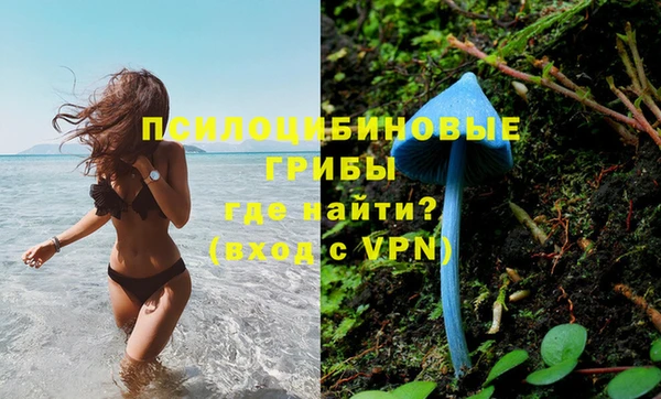 стафф Алексеевка