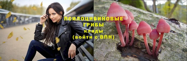 героин Алзамай