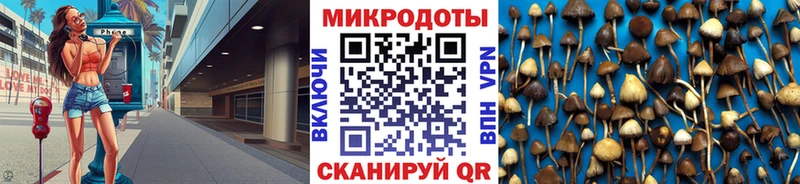 как найти Камбарка Галлюциногенные грибы Cubensis