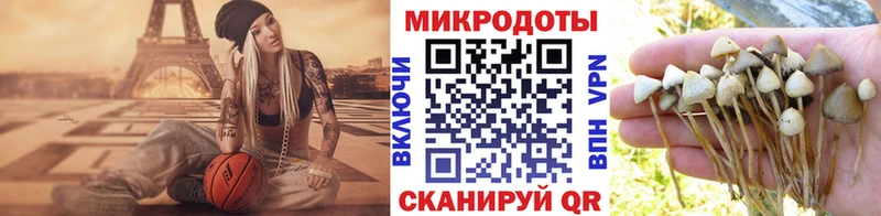 Псилоцибиновые грибы Magic Shrooms Камбарка
